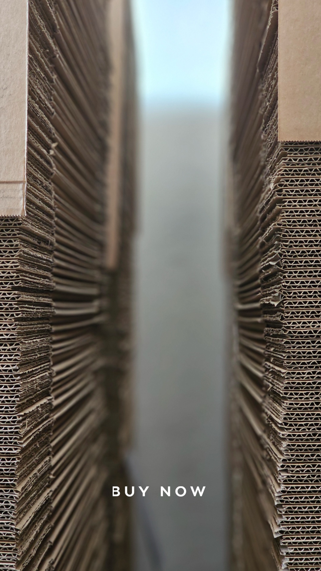 Separator Carton